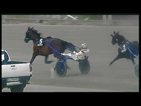 Trotto 31/05/2020 - 9ª corsa