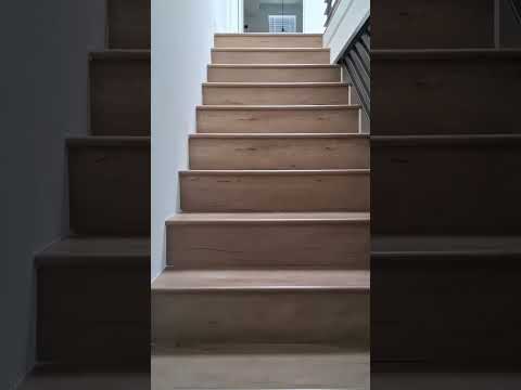 LEX(6417) - Video 2 of 2
