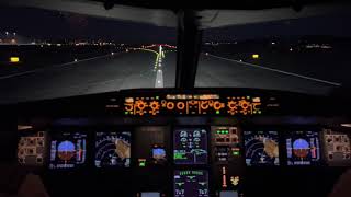 4K | A320neo cockpit landing at night Oslo