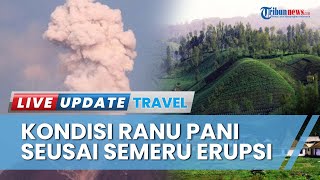 Erupsi Gunung Semeru, Begini Kondisi Desa Wisata Ranu Pani yang Berada satu Kawasan dengan TNBTS