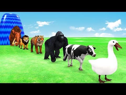 Paint Animals Gorilla Cow Tiger Lion Duck Mammoth Elephant Fountain Crossing Animals Cartoon
