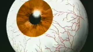 【Dir en grey】業～KARMA～ PV