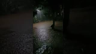 Download lagu seandainya DEDY MULIYADI jdi gubernur jawar timur pasti Banyuwangi pasti gak ad banjir#dedymulyadi mp3 Download lagu seandainya DEDY MULIYADI jdi gubernur jawar timur pasti Banyuwangi pasti gak ad banjir#dedymulyadi mp3