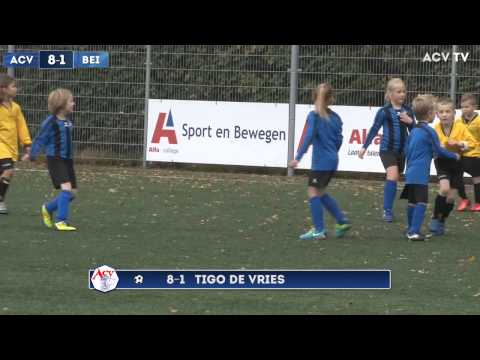 Samenvatting ACV F7 Beilen F5
