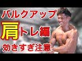 【増量期】肩に効かす種目解説!【バルクアップ】