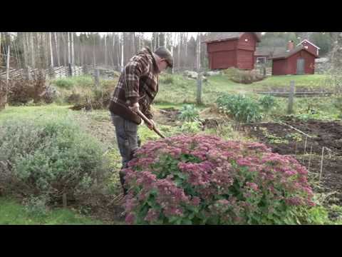 Höst I Trädgården