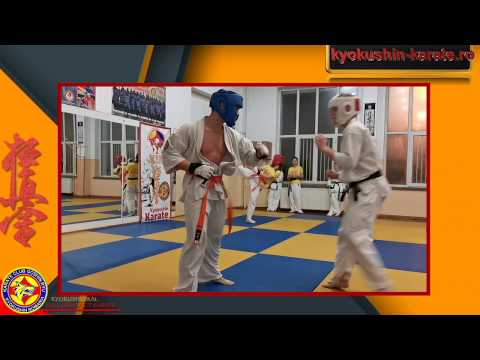 Goshin-Ryu Dojo Training