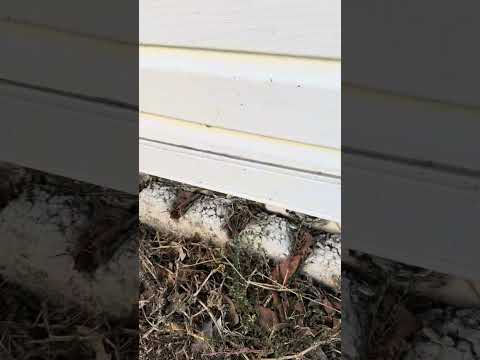 😮😮🔥 DIY repairs #homeinspection #realestate #lakeland #florida #diy #fail #repair