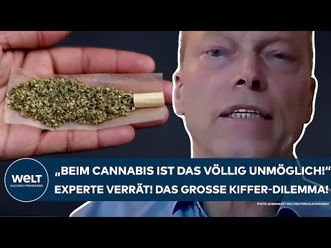 DEUTSCHLAND: "Beim Cannabis ist das völlig unmöglich!" Klartext vom Experten! Das Dilemma der Kiffer