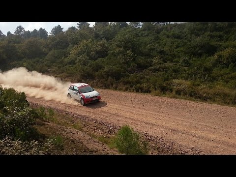Ford Rally Turkey Kocaeli Can Altınok (Fiesta)