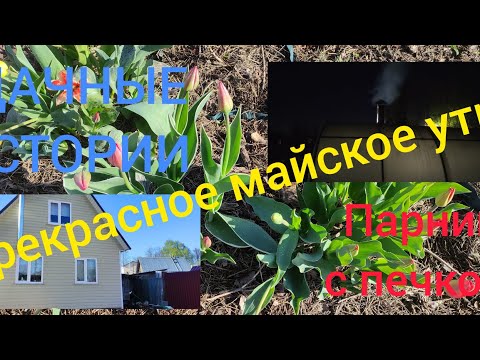 ДАЧНЫЕ ИСТОРИИ. Прекрасное майское утро. ТЕПЛИЦА С ПЕЧКОЙ. Холодно однако...