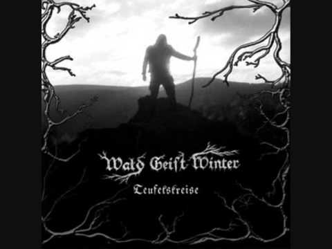 Wald Geist Winter - Leblos im moor