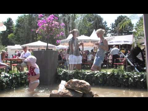 Eindrücke der Pferd International