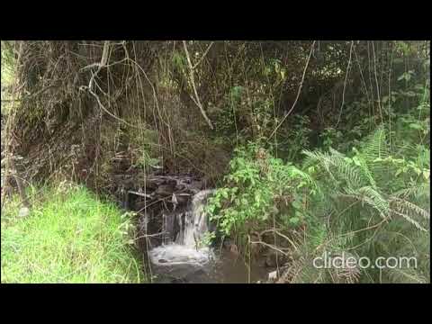 VENDO HERMOSA FINCA EN PESCA BOYACA