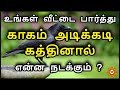 காகம் வீட்டில் கத்தினால் என்ன நடக்கு