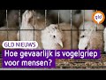 GLD Nieuws 7 mei 2022