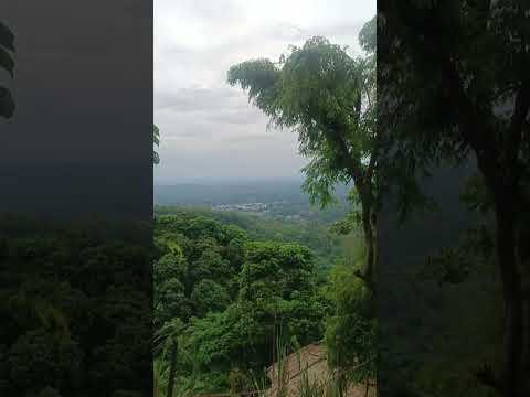 Playing on the Swing Nature