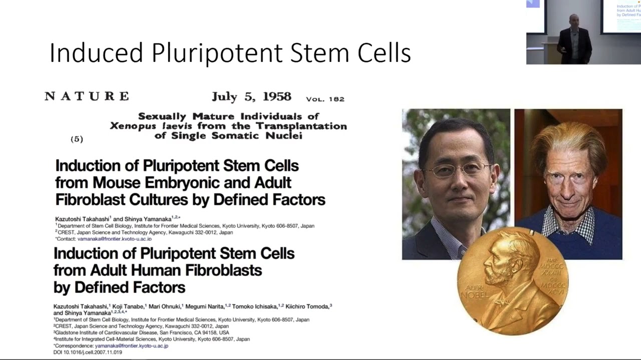 Canine Induced Pluripotent Stem Cells State of the Field