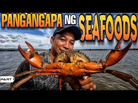 EP967-P1 - Pangangapa ng Seafoods