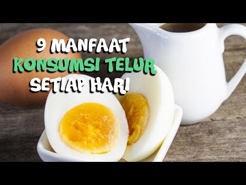 , title : '9 Manfaat Rutin Konsumsi Telur Ayam, Bisa Lebih Cepat Turunkan Berat Badan Lho!'