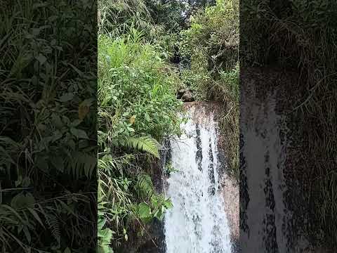 Cascadas de Santa Rosa, Cauca