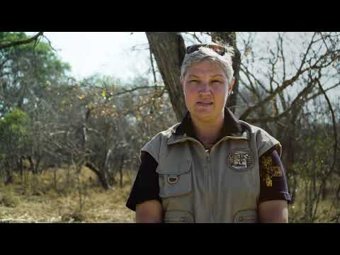 Boshospitaal Trailer S01E04