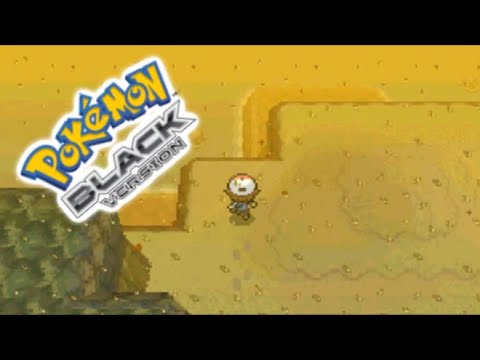Pokemon Black Randomizer Nuzlocke Ep. 9 - "I GOT SAND IN MY EYES"