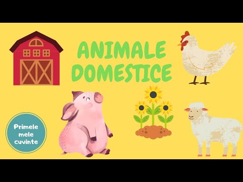 Primele mele cuvinte - Animale domestice