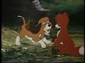 PBS Kids Sprout The Fox And The Hound Disney DVD Commercial 2005 2006