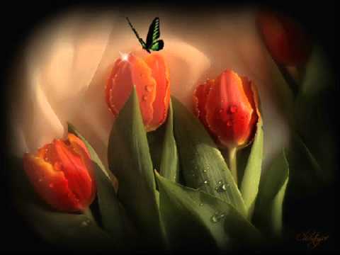 FREDDIE MERCURY - GUIDE ME HOME (PIANO VERSION)