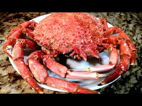COMO COCER, ABRIR Y PREPARAR CENTOLLO O CENTOLLA | Cook, open and prepare a spider crab