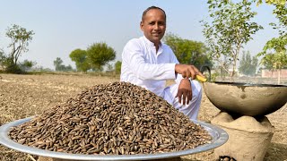 How To Roast Pine Nuts | How To Roast Chilghoza At Home | Chilgoza Roasting | Village Food Secrets