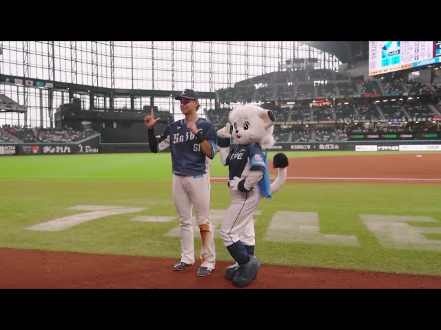 西武ライオンズ　日本ハムファイターズ　試合球 日本ハム ファイターズ 2球 練習球 野球ボール 公式球 北海道