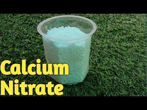 How to use Calcium nitrate fertilizer for Plant कैल्शियम नाइट्रेट उर्वरक का पौधो मे उपयोग कैसे करे Video