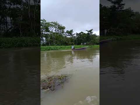 CAÑO SAN MATÍAS EN AYAPEL CÓRDOBA #viralreel #lineadepesca #viralshort #pueblo #campo #viral