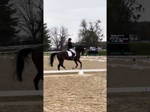 Allison Cyprus and Oceana ISF