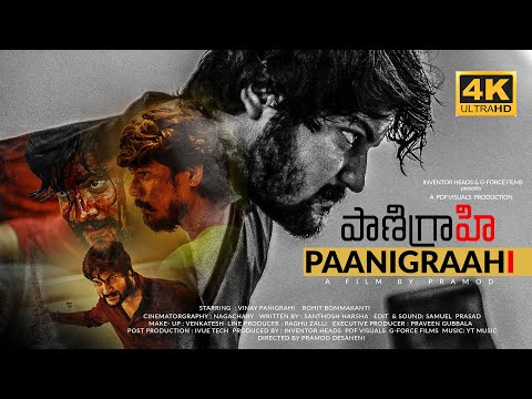 Pramod D portfolio video4