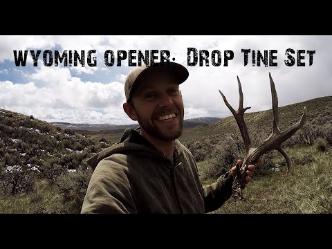 2019 Wyoming Shed Opener: EPIC DROP TINE SET!