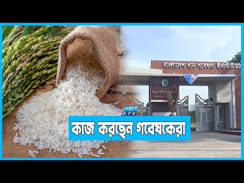 ৪ কোটি মেট্রিক টন চাল লাগবে ২০৫০ সালে