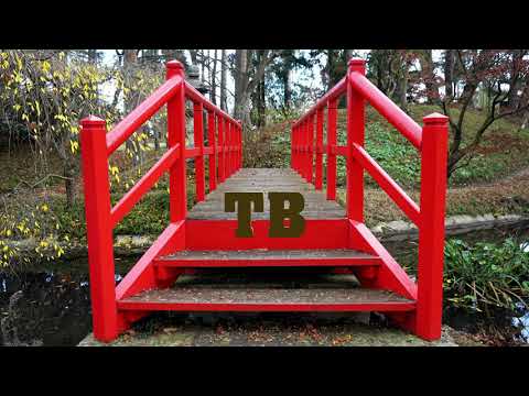 TeeBandZ- Walkin the park (prod. DISPLAY)