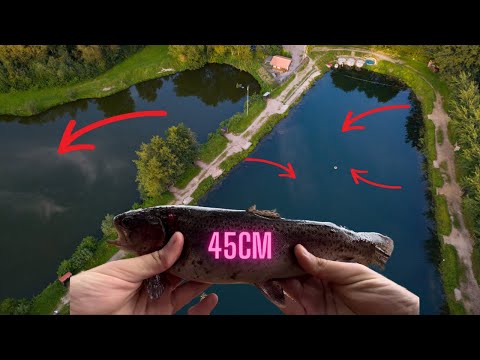 Dicke Forellen knallen die  Köder weg!!! Catch & Cook Saibling + Regenbogenforelle.