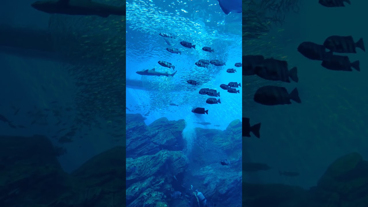 YouTube Short thumbnail