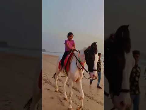 Kashid Beach Hourse Rid ✌😍🏝🎠