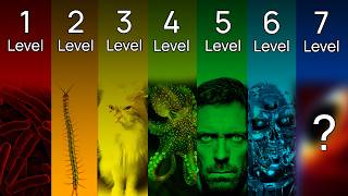 The 7 Levels of Consciousness Explained