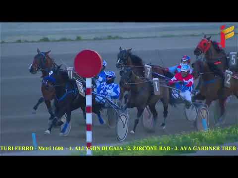 VI Corsa del 8 Febbraio 2022 - Cat. G - Metri 1600