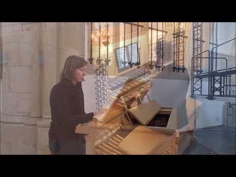 Konzert für zwei Orgeln aus dem Willibrordi-Dom Wesel