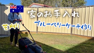 オーストラリア在住の日々。家の手入れとブルーベリーケーキ。