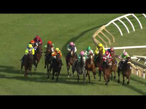 Race Replay: 2016 $500k G1 E.P. Taylor