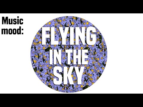 Music for Flying - Aria