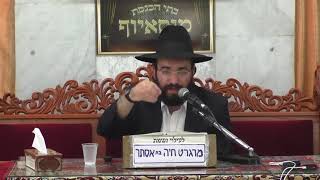 הרב מיכאל רביע | פניני הזוהר • פרשת ראה